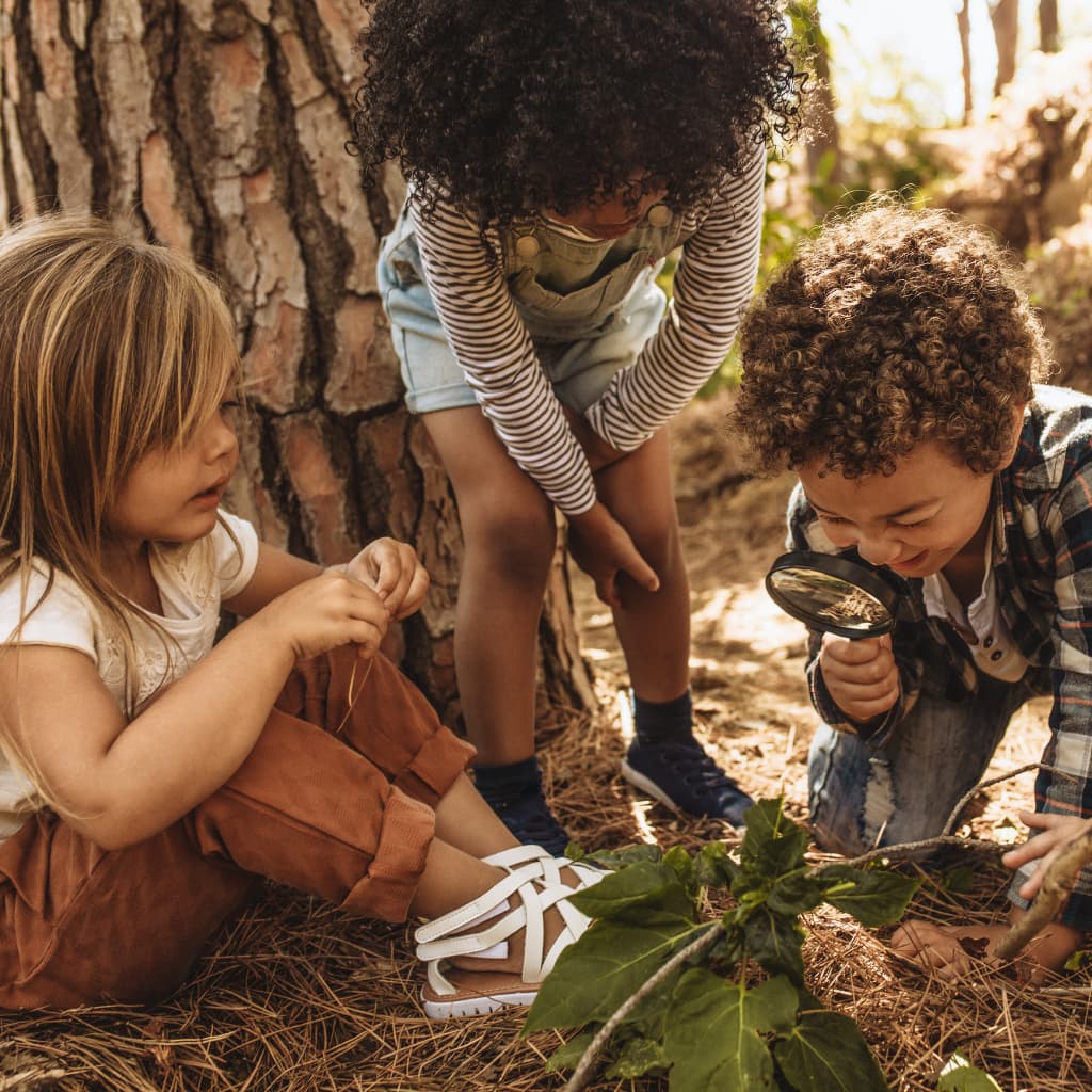 Group of kids in the park participating in French kids club with FLAM San Diego